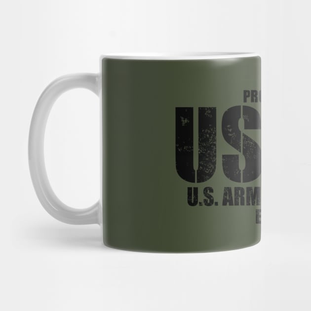 United States Army Air Forces (distressed) by TCP